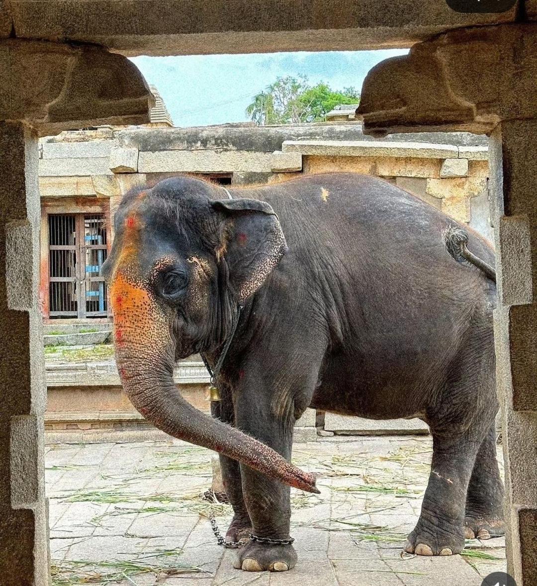 Vaibhav Home Stay Hampi Eksteriør bilde